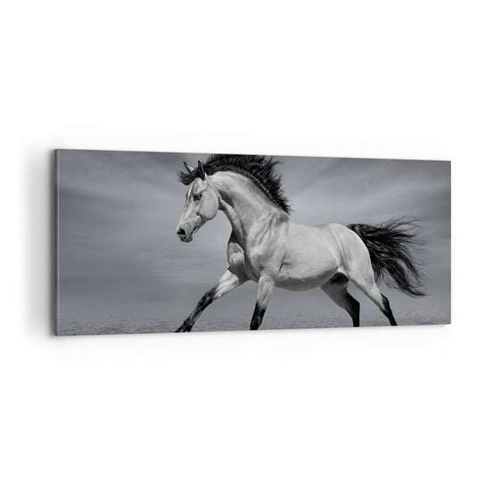 Obraz na płótnie - Urodzony, by zachwycać - 100x40cm - Zwierzęta Koń Natura - Nowoczesny foto obraz w ramie do salonu do sypialni ARTTOR ARTTOR