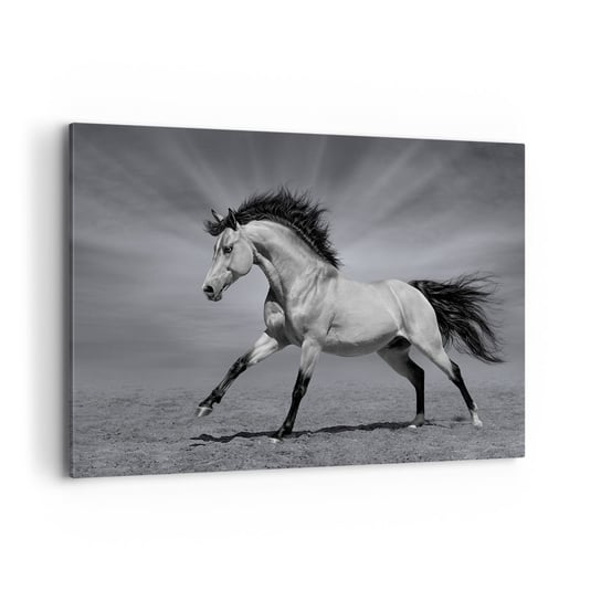 Obraz na płótnie - Urodzony, by zachwycać - 100x70cm - Zwierzęta Koń Natura - Nowoczesny foto obraz w ramie do salonu do sypialni ARTTOR ARTTOR