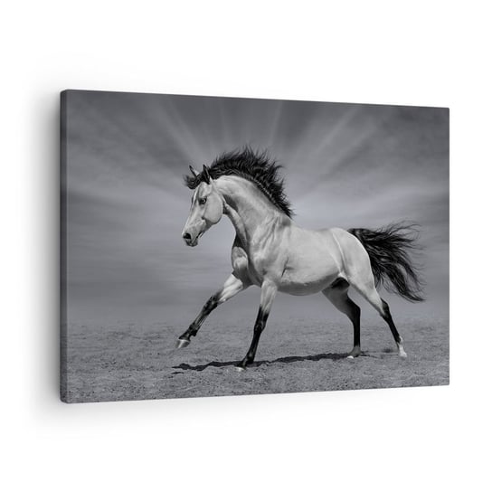 Obraz na płótnie - Urodzony, by zachwycać - 70x50cm - Zwierzęta Koń Natura - Nowoczesny Canvas obraz do salonu do sypialni ARTTOR ARTTOR