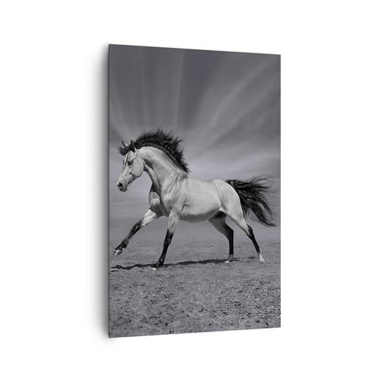 Obraz na płótnie - Urodzony, by zachwycać - 80x120cm - Zwierzęta Koń Natura - Nowoczesny obraz na ścianę do salonu do sypialni ARTTOR ARTTOR