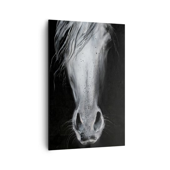Obraz na płótnie - Uwodzicielskie spojrzenie - 80x120cm - Koń Zwierzę Artystyczny - Nowoczesny obraz na ścianę do salonu do sypialni ARTTOR ARTTOR