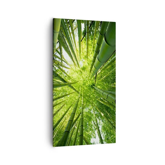 Obraz na płótnie - W bambusowym gaju - 55x100 cm - Obraz nowoczesny - Las Bambusowy, Dżungla, Bambus, Natura, Japonia - PA55x100-4235 ARTTOR