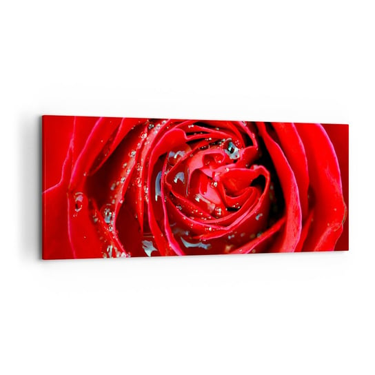 Obraz na płótnie - W kroplach rosy - 120x50cm - Kwiaty Czerwona Róża Miłość - Nowoczesny obraz na ścianę do salonu do sypialni ARTTOR ARTTOR