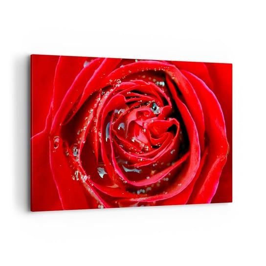Obraz na płótnie - W kroplach rosy - 120x80cm - Kwiaty Czerwona Róża Miłość - Nowoczesny obraz na ścianę do salonu do sypialni ARTTOR ARTTOR