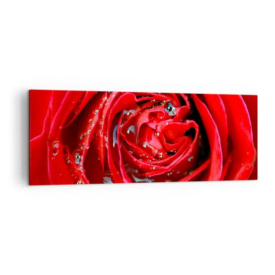 Obraz na płótnie - W kroplach rosy - 140x50cm - Kwiaty Czerwona Róża Miłość - Nowoczesny Canvas obraz do salonu do sypialni ARTTOR ARTTOR