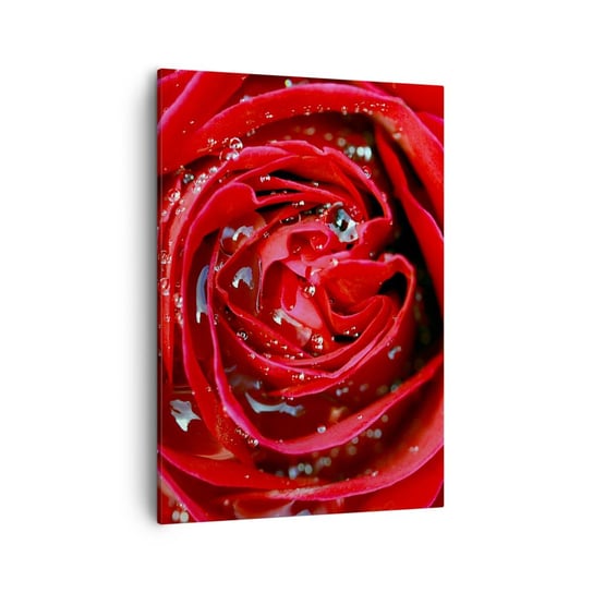 Obraz na płótnie - W kroplach rosy - 50x70cm - Kwiaty Czerwona Róża Miłość - Nowoczesny Canvas obraz do salonu do sypialni ARTTOR ARTTOR