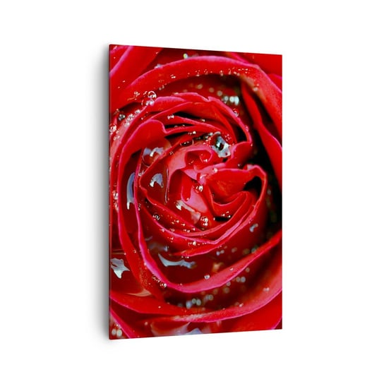 Obraz na płótnie - W kroplach rosy - 80x120cm - Kwiaty Czerwona Róża Miłość - Nowoczesny obraz na ścianę do salonu do sypialni ARTTOR ARTTOR