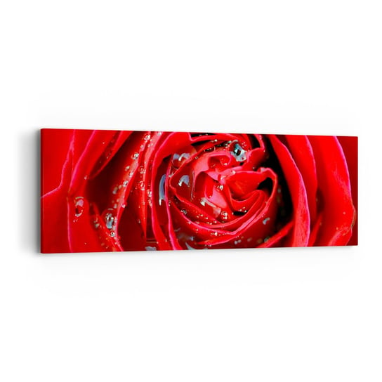 Obraz na płótnie - W kroplach rosy - 90x30cm - Kwiaty Czerwona Róża Miłość - Nowoczesny Canvas obraz do salonu do sypialni ARTTOR ARTTOR