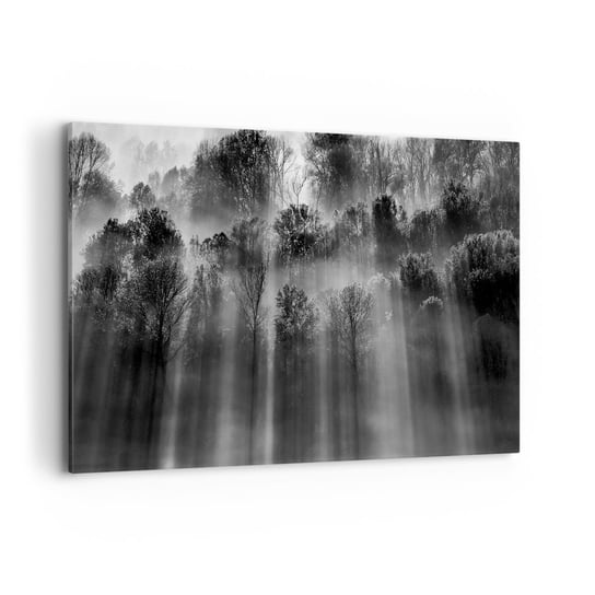 Obraz na płótnie - W strumieniach światła - 120x80cm - Krajobraz Las Czarno-Biały - Nowoczesny obraz na ścianę do salonu do sypialni ARTTOR ARTTOR