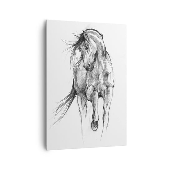 Obraz na płótnie - We wdzięcznym kłusie - 70x100cm - Koń Grafika Zwierzęta - Nowoczesny foto obraz w ramie do salonu do sypialni ARTTOR ARTTOR
