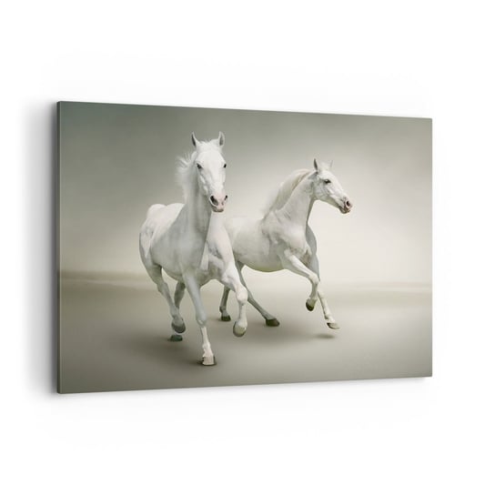 Obraz na płótnie - White power! - 100x70cm - Zwierzęta Konie Natura - Nowoczesny foto obraz w ramie do salonu do sypialni ARTTOR ARTTOR