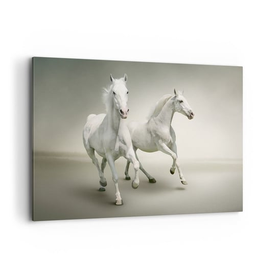Obraz na płótnie - White power! - 120x80cm - Zwierzęta Konie Natura - Nowoczesny obraz na ścianę do salonu do sypialni ARTTOR ARTTOR