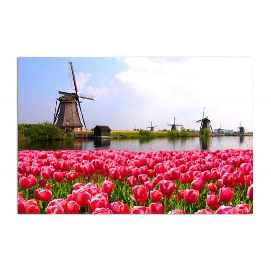 Obraz na płótnie, Wiatraki i tulipany, 100x70 cm Feeby