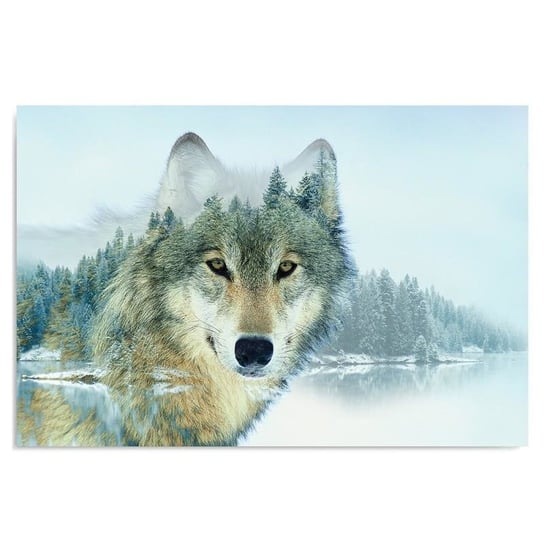 Obraz na płótnie, Wilk nad jeziorem, 70x50 cm Feeby