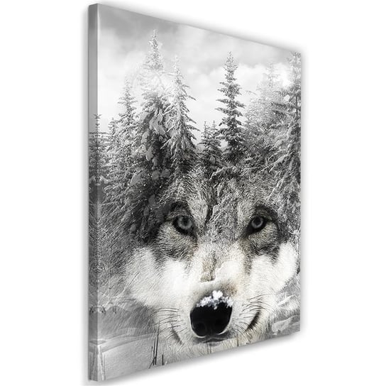 Obraz na płótnie, Wilk w lesie natura krajobraz - 70x100 Inna marka