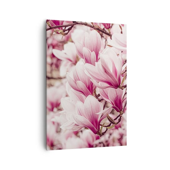 Obraz na płótnie - Wiosna jest różowa - 70x100cm - Magnolia Kwiat Jasny - Nowoczesny foto obraz w ramie do salonu do sypialni ARTTOR ARTTOR