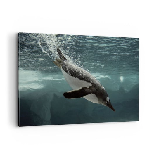Obraz na płótnie - Witaj w moim świecie - 100x70cm - Pingwin Zwierzęta Natura - Nowoczesny foto obraz w ramie do salonu do sypialni ARTTOR ARTTOR