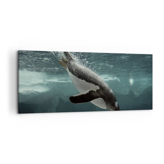 Obraz na płótnie - Witaj w moim świecie - 120x50cm - Pingwin Zwierzęta Natura - Nowoczesny obraz na ścianę do salonu do sypialni ARTTOR ARTTOR