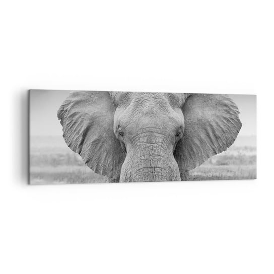 Obraz na płótnie - Witaj w moim świecie - 140x50cm - Słoń Afryka Zwierzęta - Nowoczesny Canvas obraz do salonu do sypialni ARTTOR ARTTOR