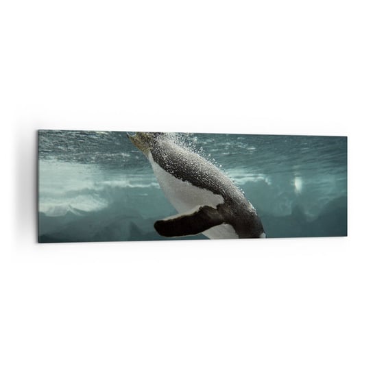 Obraz na płótnie - Witaj w moim świecie - 160x50cm - Pingwin Zwierzęta Natura - Nowoczesny foto obraz w ramie do salonu do sypialni ARTTOR ARTTOR