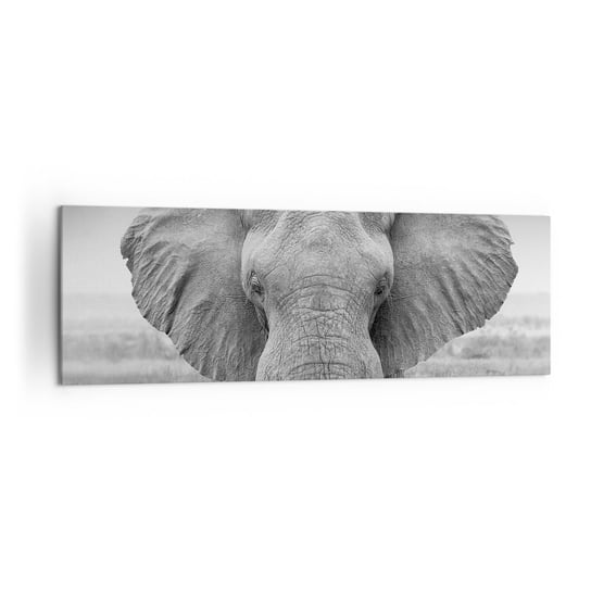 Obraz na płótnie - Witaj w moim świecie - 160x50cm - Słoń Afryka Zwierzęta - Nowoczesny foto obraz w ramie do salonu do sypialni ARTTOR ARTTOR