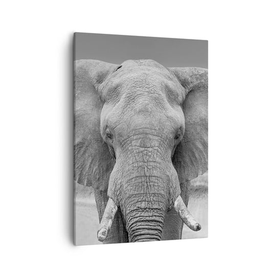 Obraz na płótnie - Witaj w moim świecie - 50x70cm - Słoń Afryka Zwierzęta - Nowoczesny Canvas obraz do salonu do sypialni ARTTOR ARTTOR