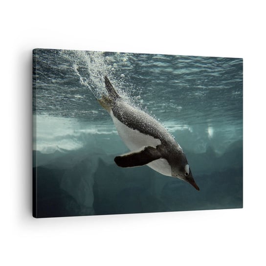 Obraz na płótnie - Witaj w moim świecie - 70x50cm - Pingwin Zwierzęta Natura - Nowoczesny Canvas obraz do salonu do sypialni ARTTOR ARTTOR