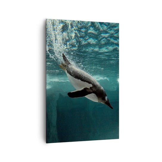 Obraz na płótnie - Witaj w moim świecie - 80x120cm - Pingwin Zwierzęta Natura - Nowoczesny obraz na ścianę do salonu do sypialni ARTTOR ARTTOR