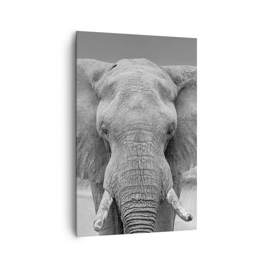 Obraz na płótnie - Witaj w moim świecie - 80x120cm - Słoń Afryka Zwierzęta - Nowoczesny obraz na ścianę do salonu do sypialni ARTTOR ARTTOR