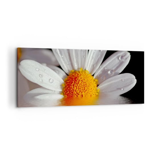 Obraz na płótnie - Wschodzące słońce margaretki - 100x40cm - Kwiat Rumianek Natura - Nowoczesny foto obraz w ramie do salonu do sypialni ARTTOR ARTTOR