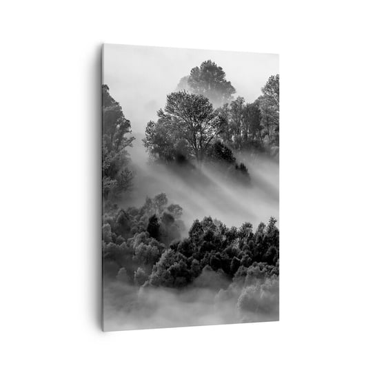 Obraz na płótnie - Wstający ze snu - 70x100cm - Krajobraz Las Mgła - Nowoczesny foto obraz w ramie do salonu do sypialni ARTTOR ARTTOR