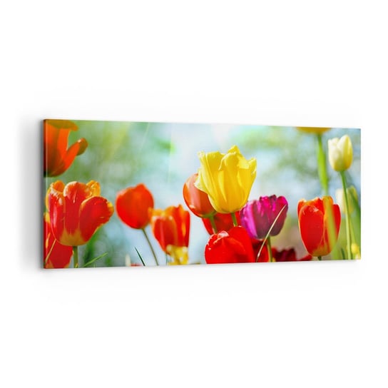 Obraz na płótnie - Wszystkie barwy słońca - 100x40cm - Tulipany Kwiaty Łąka - Nowoczesny foto obraz w ramie do salonu do sypialni ARTTOR ARTTOR