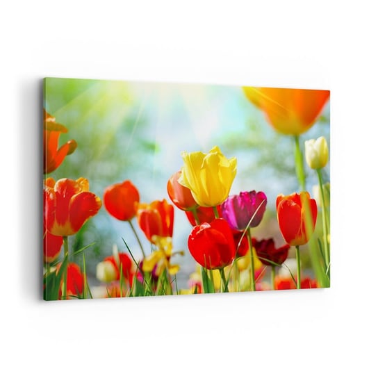 Obraz na płótnie - Wszystkie barwy słońca - 100x70cm - Tulipany Kwiaty Łąka - Nowoczesny foto obraz w ramie do salonu do sypialni ARTTOR ARTTOR