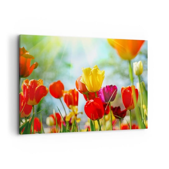 Obraz na płótnie - Wszystkie barwy słońca - 120x80cm - Tulipany Kwiaty Łąka - Nowoczesny obraz na ścianę do salonu do sypialni ARTTOR ARTTOR