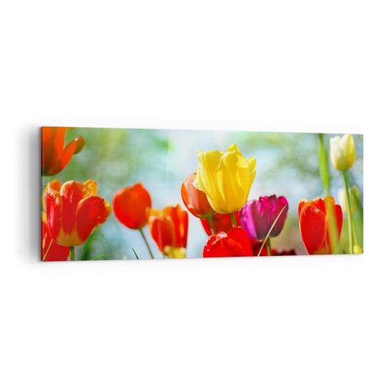 Obraz na płótnie - Wszystkie barwy słońca - 140x50cm - Tulipany Kwiaty Łąka - Nowoczesny Canvas obraz do salonu do sypialni ARTTOR ARTTOR