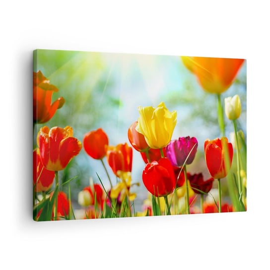 Obraz na płótnie - Wszystkie barwy słońca - 70x50cm - Tulipany Kwiaty Łąka - Nowoczesny Canvas obraz do salonu do sypialni ARTTOR ARTTOR