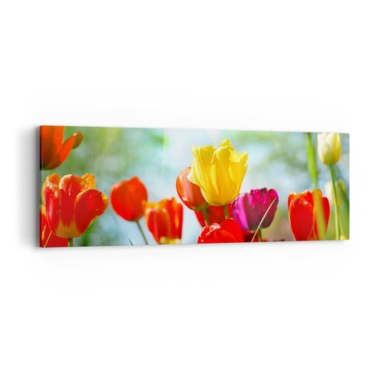 Obraz na płótnie - Wszystkie barwy słońca - 90x30cm - Tulipany Kwiaty Łąka - Nowoczesny Canvas obraz do salonu do sypialni ARTTOR ARTTOR