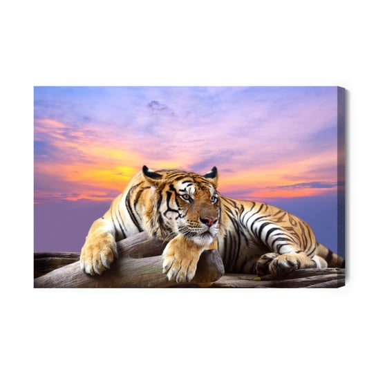 Obraz Na Płótnie Wypoczywający Tygrys 40x30 Inna marka