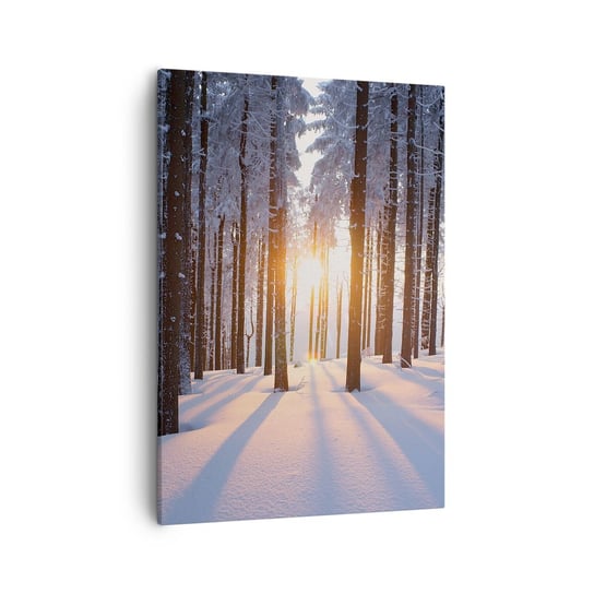 Obraz na płótnie - Wyraźnie czarno na białym - 50x70cm - Krajobraz Las Śnieg - Nowoczesny Canvas obraz do salonu do sypialni ARTTOR ARTTOR