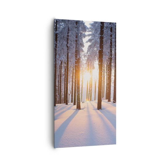 Obraz na płótnie - Wyraźnie czarno na białym - 65x120 cm - Obraz nowoczesny - Krajobraz, Las, Śnieg, Zima, Promienie Słońca - PA65x120-3629 ARTTOR