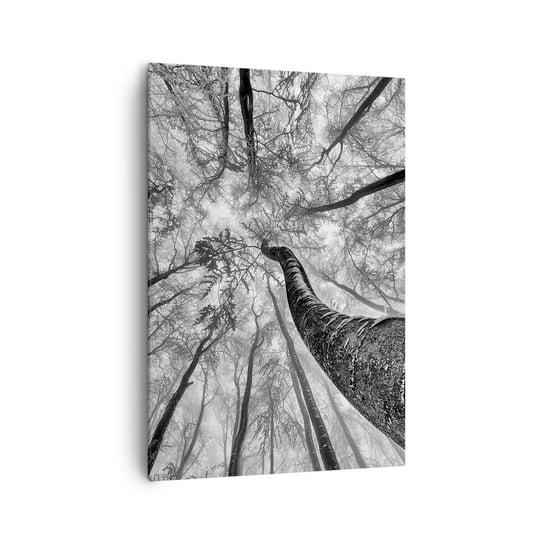 Obraz na płótnie - Wyścig do światła - 70x100cm - Las Drzewa Natura - Nowoczesny foto obraz w ramie do salonu do sypialni ARTTOR ARTTOR