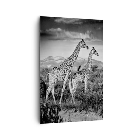 Obraz na płótnie - Wyższe sfery w Afryce - 80x120cm - Żyrafa Zwierzęta Afryka - Nowoczesny obraz na ścianę do salonu do sypialni ARTTOR ARTTOR