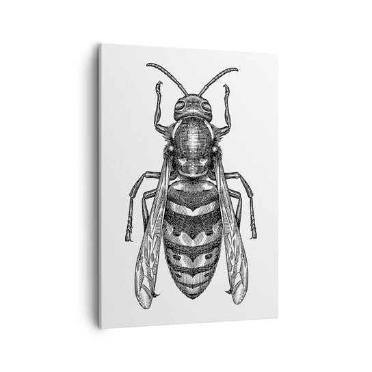 Obraz na płótnie - Z owadziej planety - 50x70cm - Osa Owad Minimalistyczny - Nowoczesny Canvas obraz do salonu do sypialni ARTTOR ARTTOR