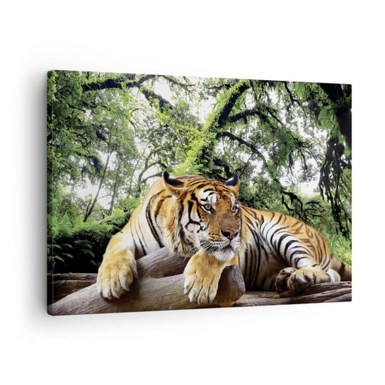 Obraz na płótnie - Z wyrazami szacunku - 70x50cm - Tygrys Zwierzęta Drapieżnik - Nowoczesny Canvas obraz do salonu do sypialni ARTTOR ARTTOR