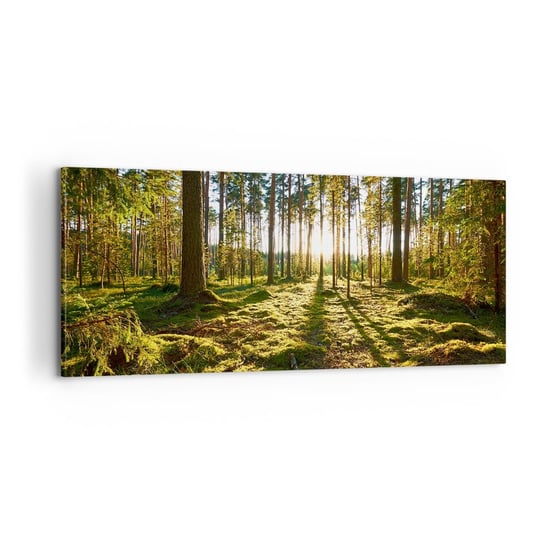 Obraz na płótnie - …Za siedmioma lasami - 100x40cm - Krajobraz Las Natura - Nowoczesny foto obraz w ramie do salonu do sypialni ARTTOR ARTTOR