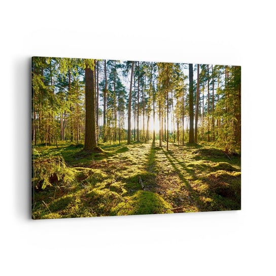Obraz na płótnie - …Za siedmioma lasami - 100x70 cm - Obraz nowoczesny - Krajobraz, Las, Natura, Promienie Słońca, Drzewa - AA100x70-3724 ARTTOR