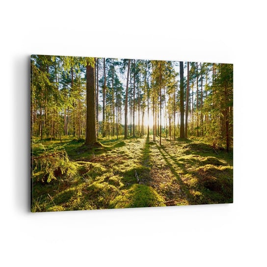Obraz na płótnie - …Za siedmioma lasami - 120x80cm - Krajobraz Las Natura - Nowoczesny obraz na ścianę do salonu do sypialni ARTTOR ARTTOR