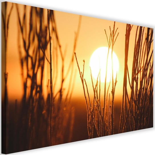 Obraz na płótnie, zachód słońca, 120x80 cm Feeby