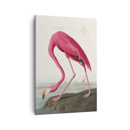 Obraz na płótnie - Zadziwiające stworzenie - 70x100cm - Flaming Ptak Sztuka - Nowoczesny foto obraz w ramie do salonu do sypialni ARTTOR ARTTOR