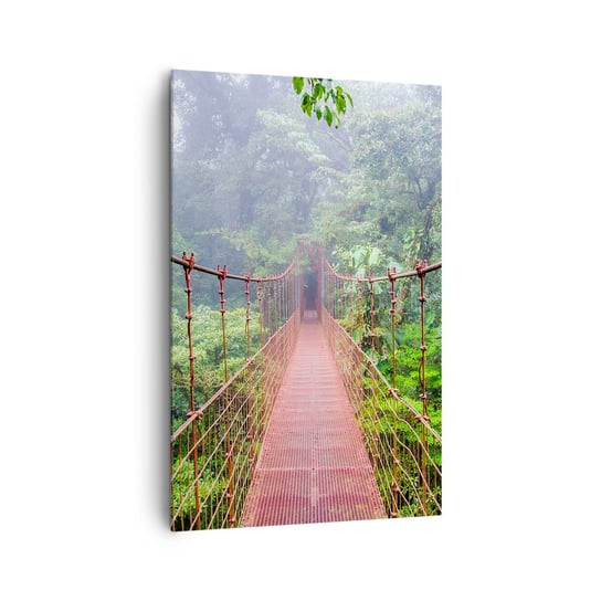 Obraz na płótnie - Zawieszony nad koronami - 80x120cm - Krajobraz Dżungla Kostaryka - Nowoczesny obraz na ścianę do salonu do sypialni ARTTOR ARTTOR